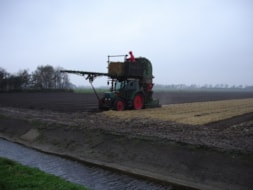 Covering the fields with Straw